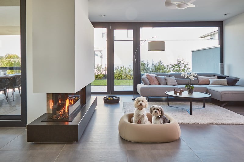 Įkvėpimas : Svetainė