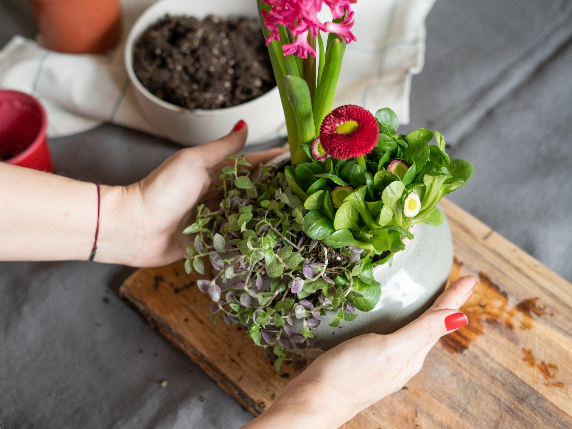 Pavasarinis dekoravimas iš svogūnėlių ir žydinčių augalų