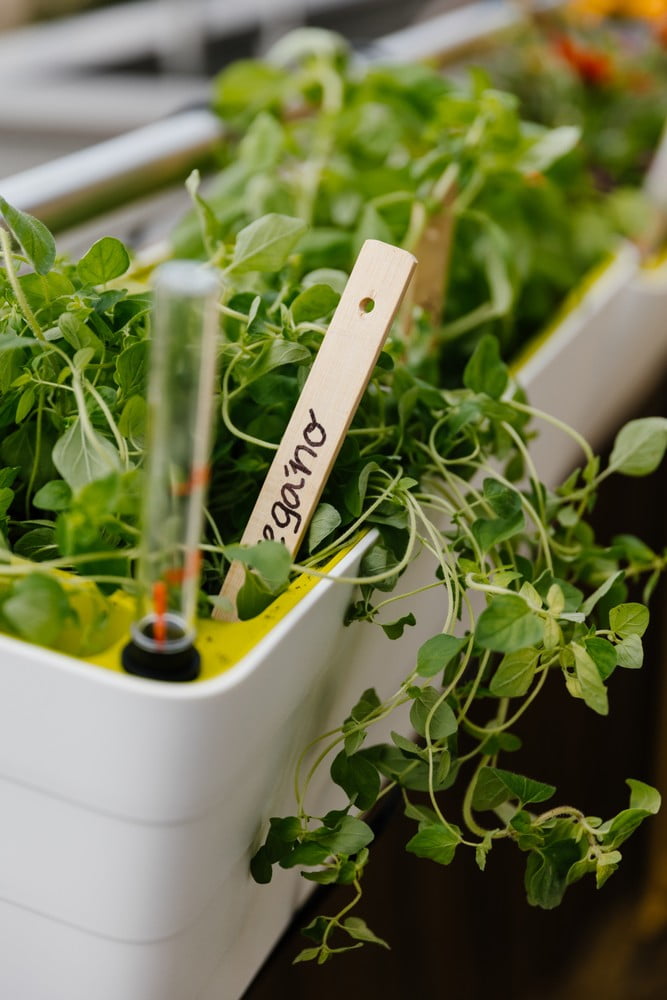 Įkvėpimas : Balkonas ir terasa