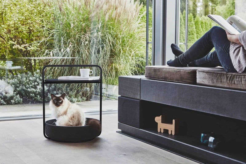 Įkvėpimas : Svetainė, Augintiniai, Skandinaviškas stilius