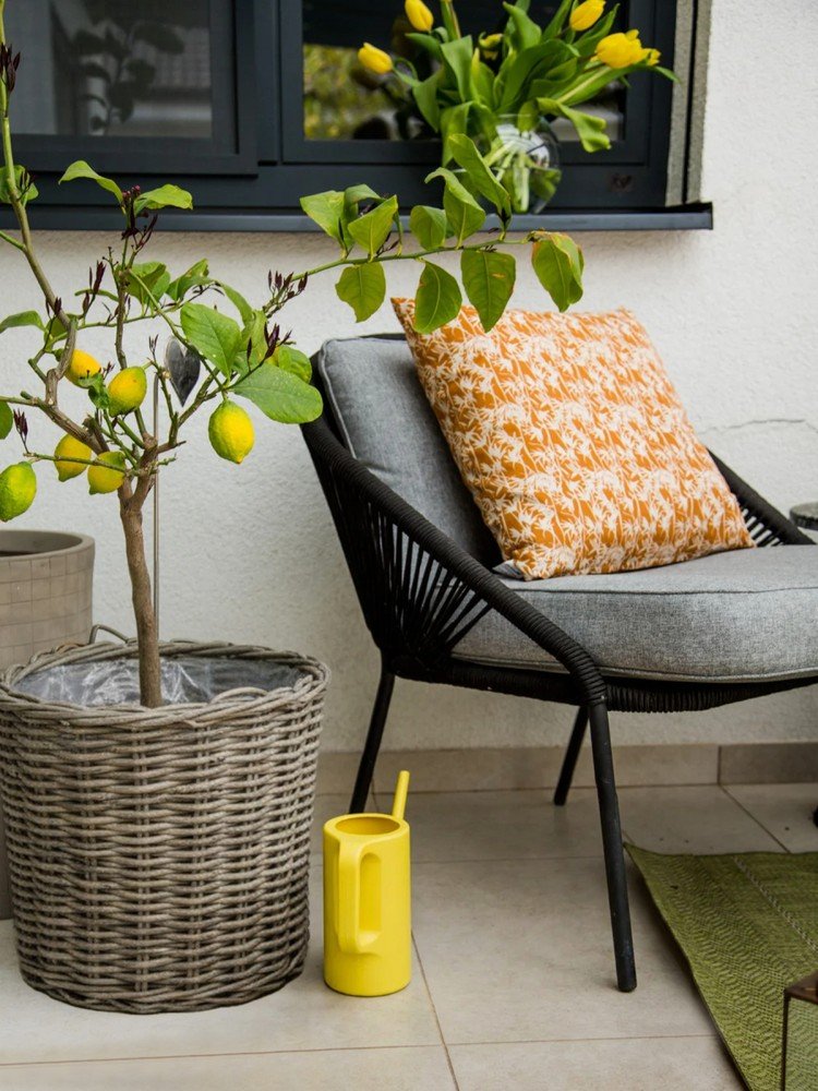 Įkvėpimas : Balkonas ir terasa, Sodas