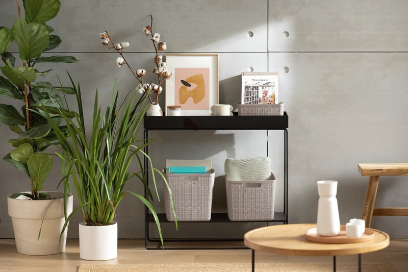 Įkvėpimas : Svetainė, Valymas ir organizavimas