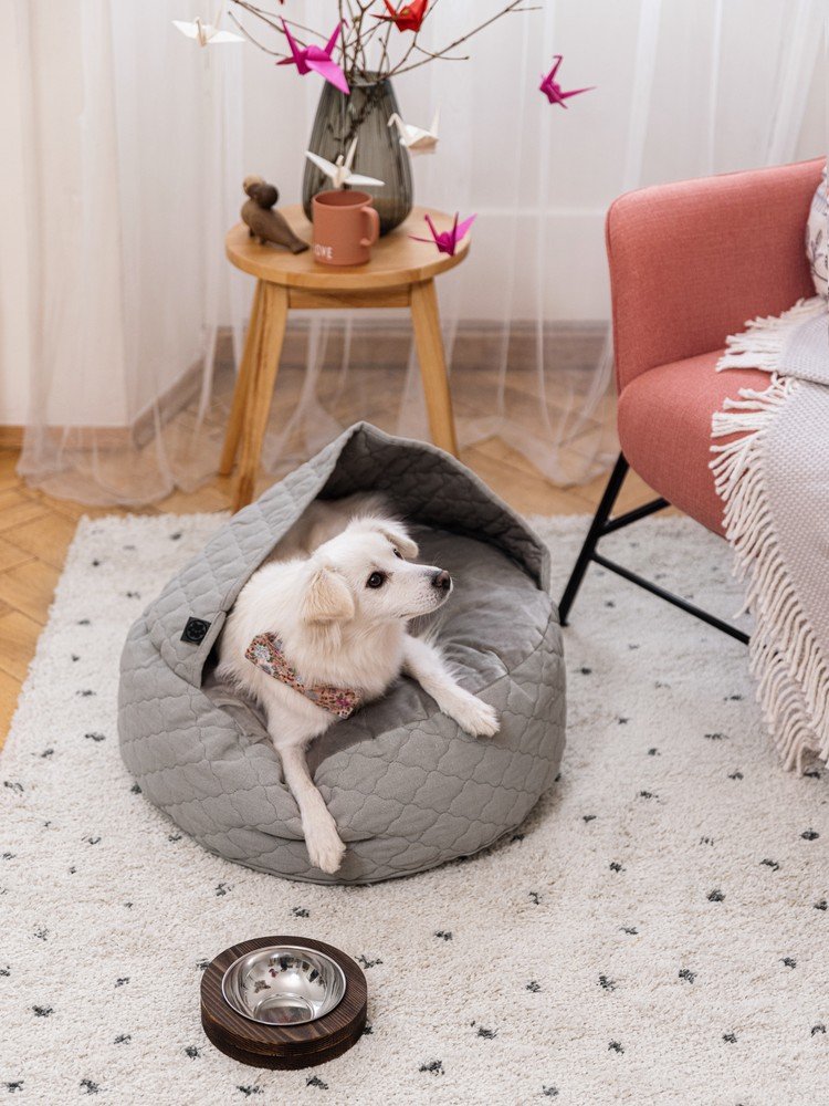 Įkvėpimas : Valentino diena