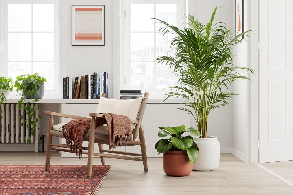 Įkvėpimas : Dekoracijos