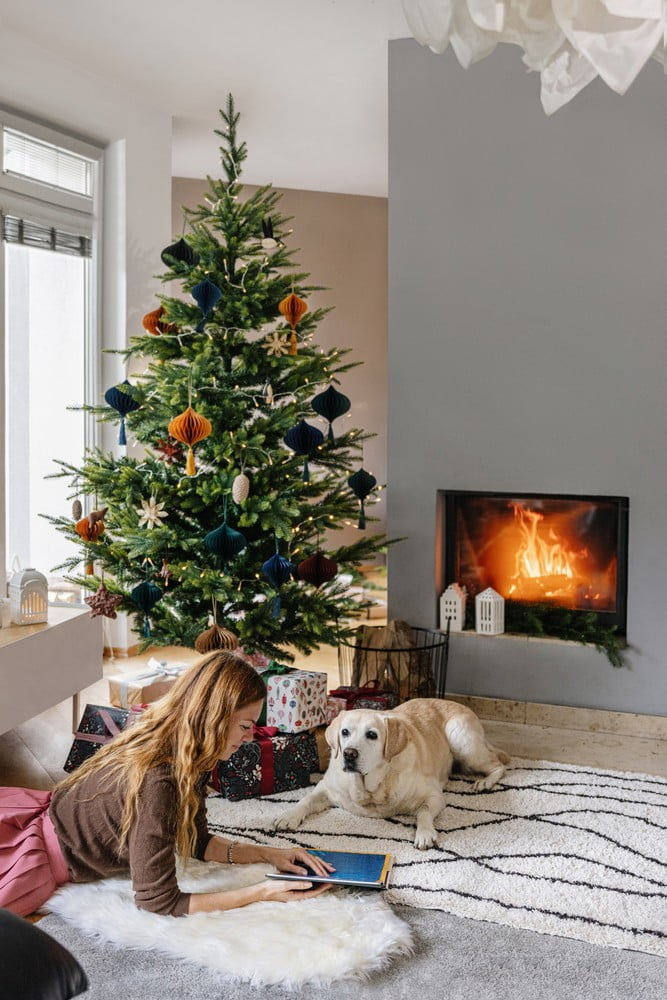 Įkvėpimas : Kalėdų, Svetainė