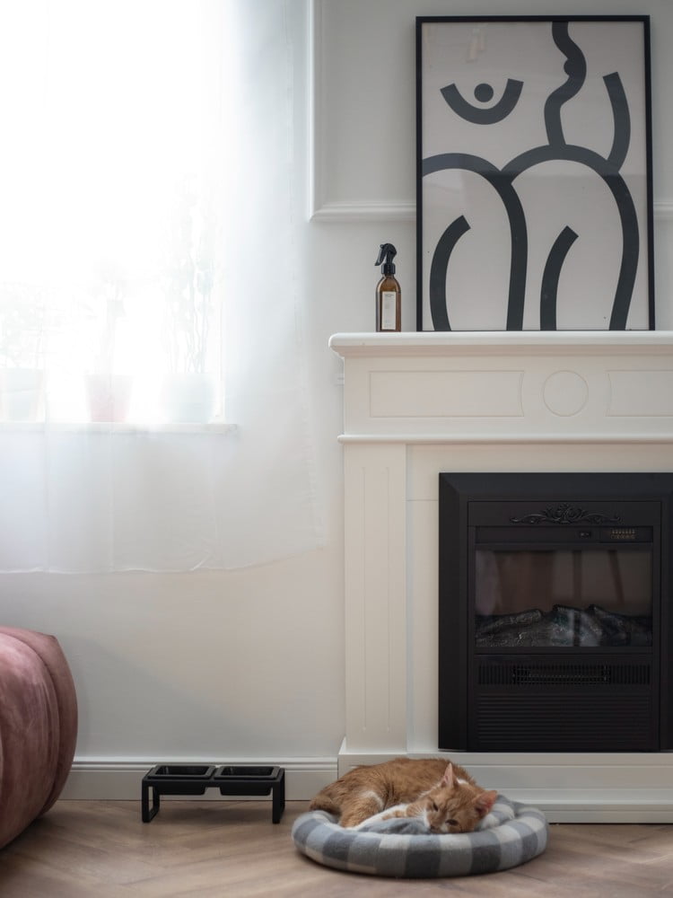 Įkvėpimas : Svetainė