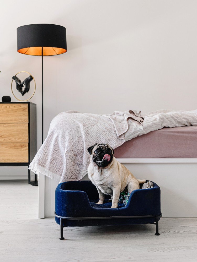 Įkvėpimas : Miegamasis