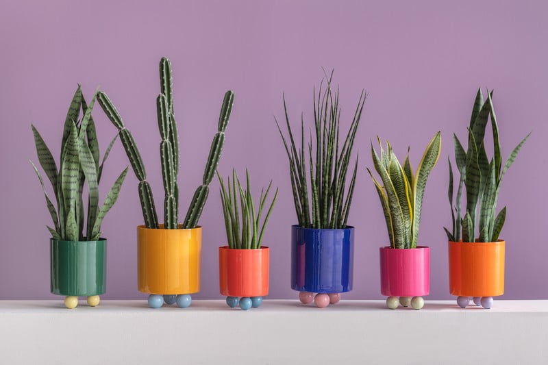 Įkvėpimas : Dekoracijos