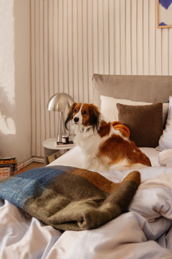 Įkvėpimas : Miegamasis