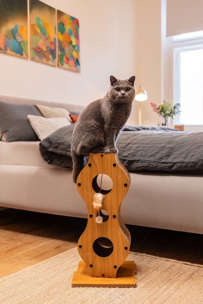 Įkvėpimas : Bonami svečiuose