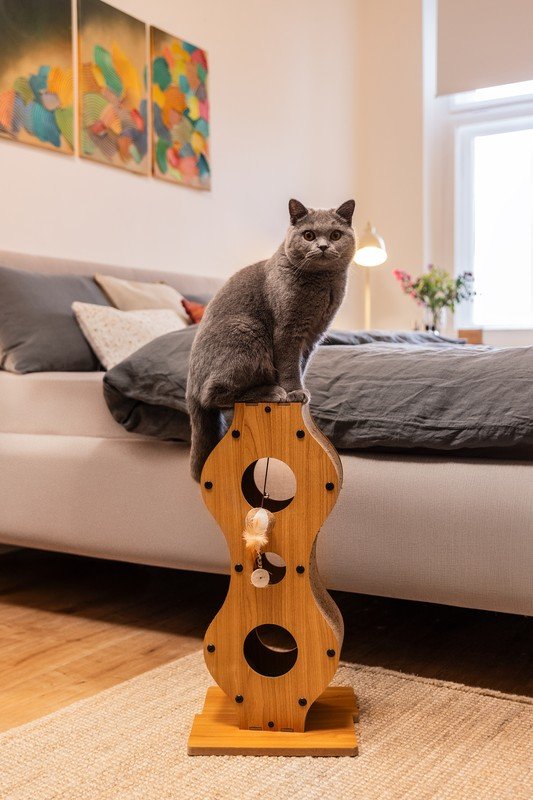 Įkvėpimas : Bonami svečiuose