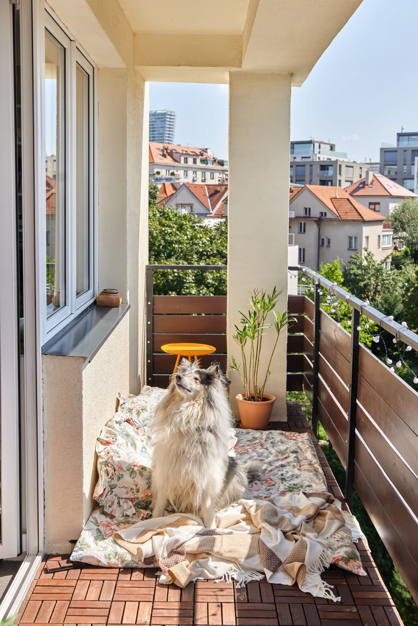 Poilsio kampelis, kuris tiktų ir jūsų augintiniui? Lauko čiužinys, kelios pagalvės ir minkšta antklodė.