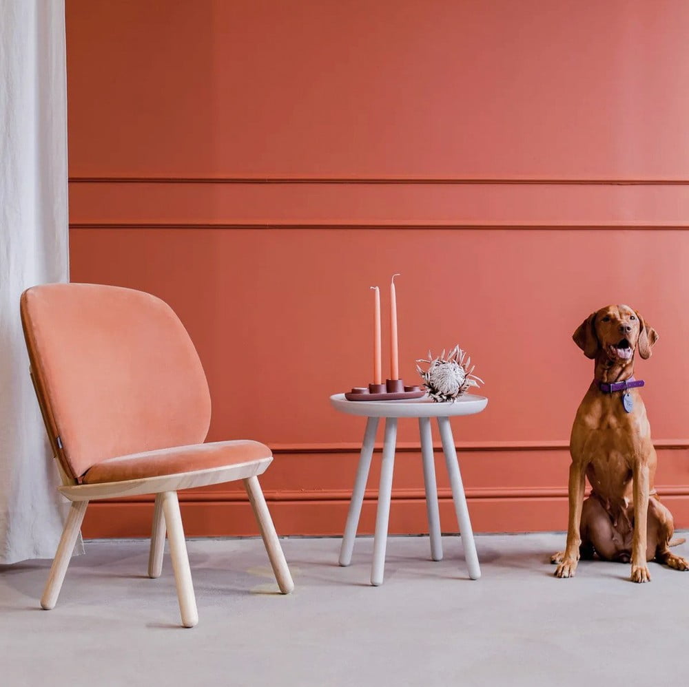 Įkvėpimas : Svetainė