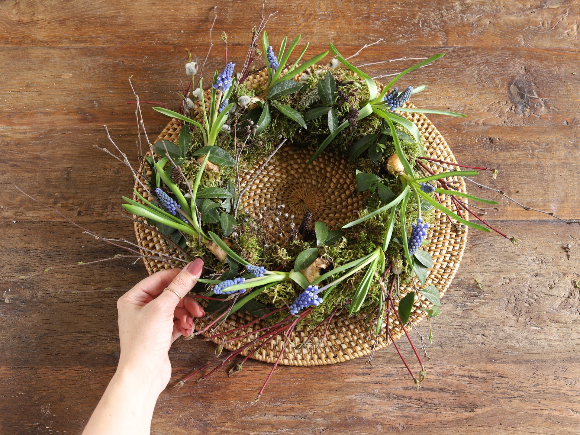 Stalo vainikas iš samanų, dekoruotas svogūninėmis gėlėmis.