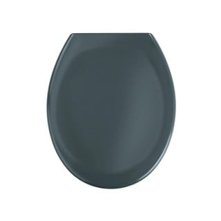 Lengvai nuimami tualeto dangčiai