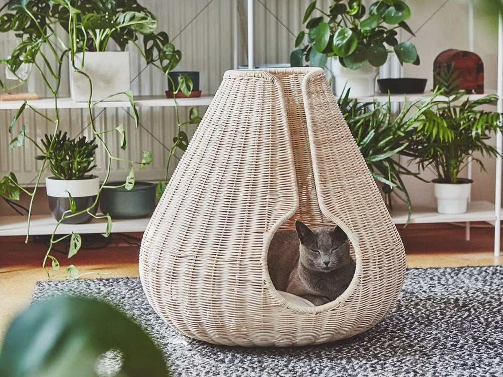 Įkvėpimas : Augintiniai