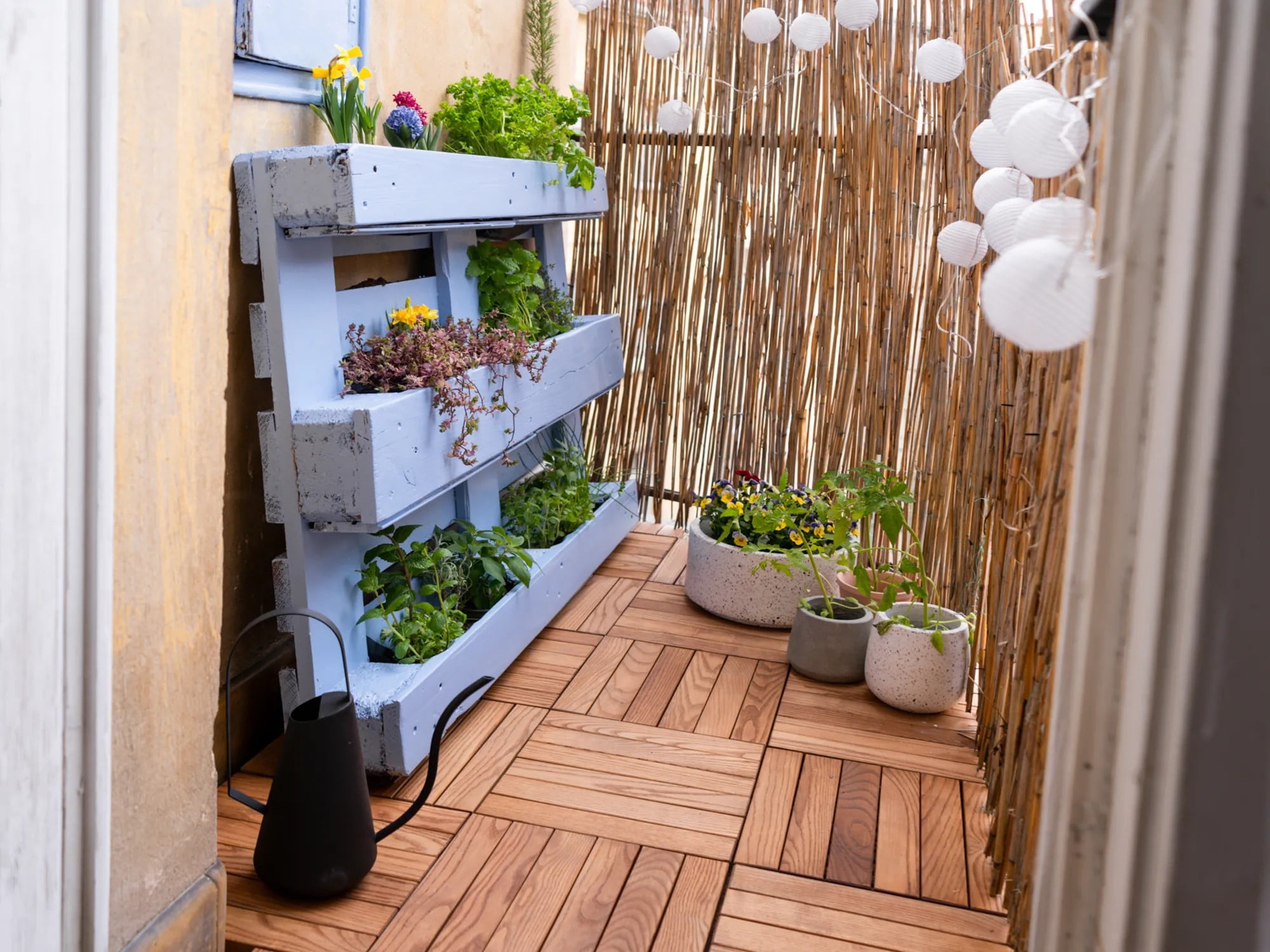 Jei balkone auginate prieskonines žoleles, galite pasigaminti praktišką padėklų stovą ir sutaupyti brangios vietos.
