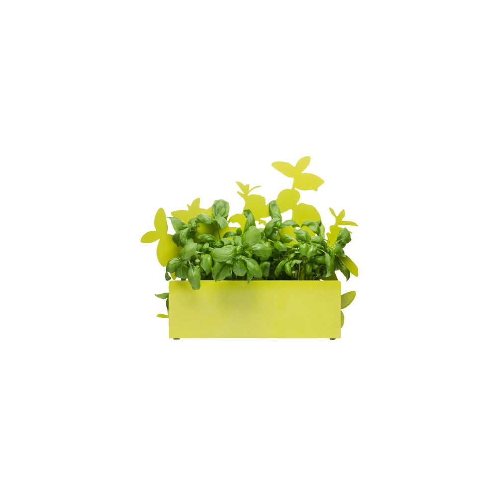 Žaliasis vaistažolių stovas "Sagaform Herb
