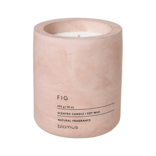 Sojos vaško žvakė su figų kvapu Blomus Fraga, 55 valandų degimo trukmė