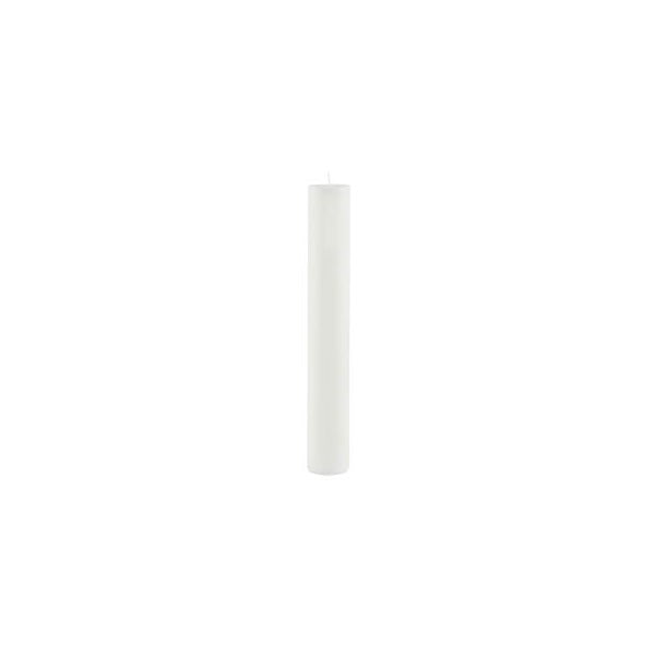 Balta ilga žvakė Ego Dekor Cylinder Pure, degimo trukmė 28 val.