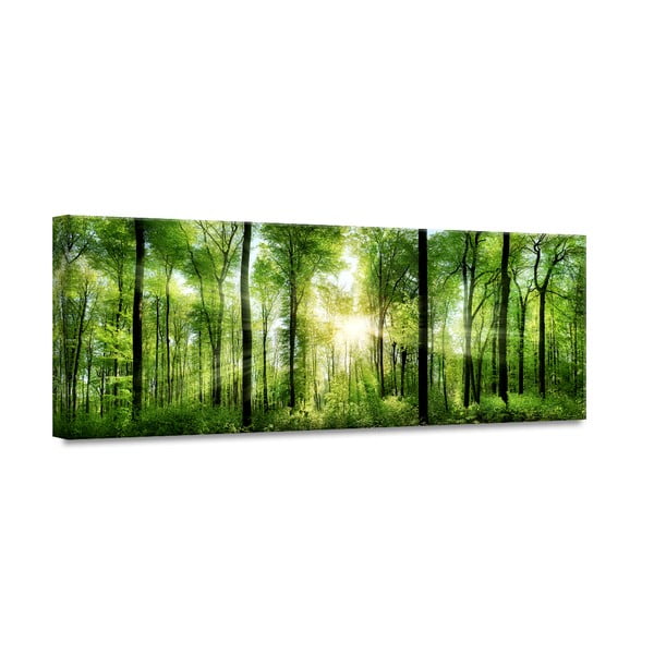 Paveikslas Styler Glasspik Nature Sunlight, 50 x 125 cm