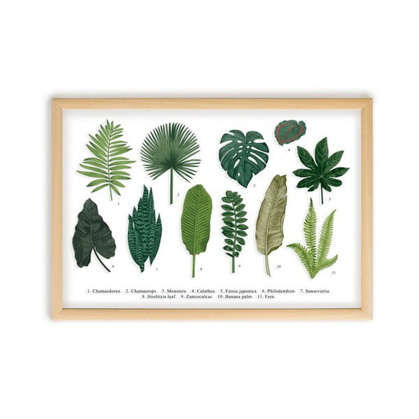 Paveikslas su pušies medžio rėmu Surdic Leafes Guide, 50 x 70 cm