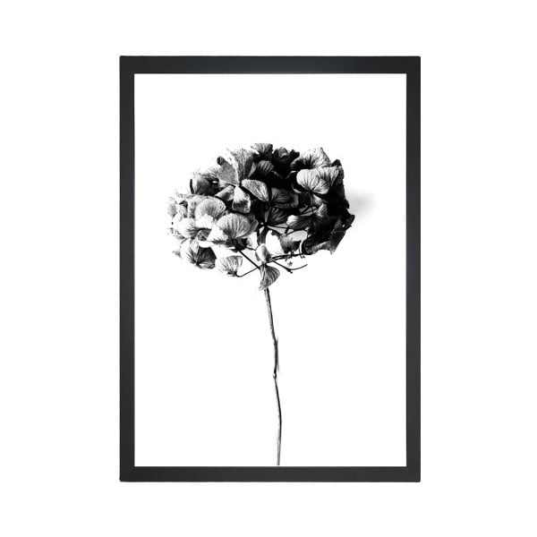 Paveikslas Tablo Center Velvet Flower, 24 x 29 cm
