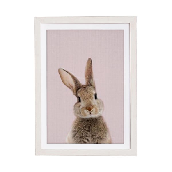Paveikslas rėmuose Querido Bestiario Baby Rabbit, 30 x 40 cm