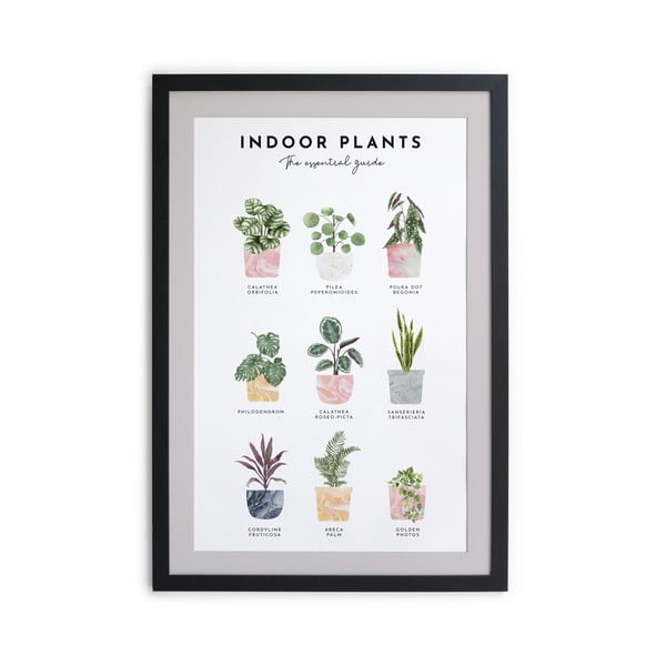 Paveikslas rėmuose Really Nice Things Indoor Plants, 30 x 40 cm