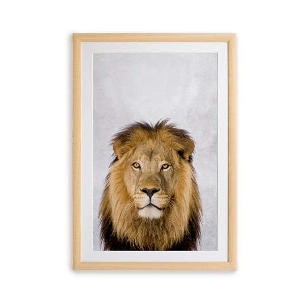 Paveikslas rėmuose Surdic Lion, 30 x 40 cm