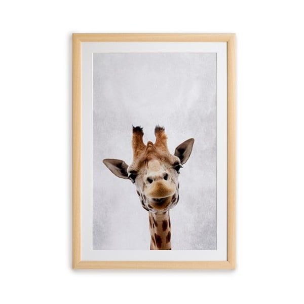 Paveikslas rėmuose Surdic Giraffe, 30 x 40 cm