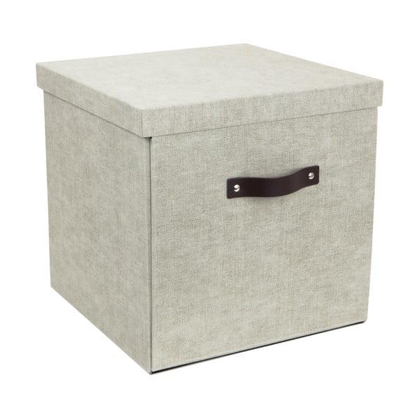 Smėlio spalvos daiktadėžė Bigso Box of Sweden Logan