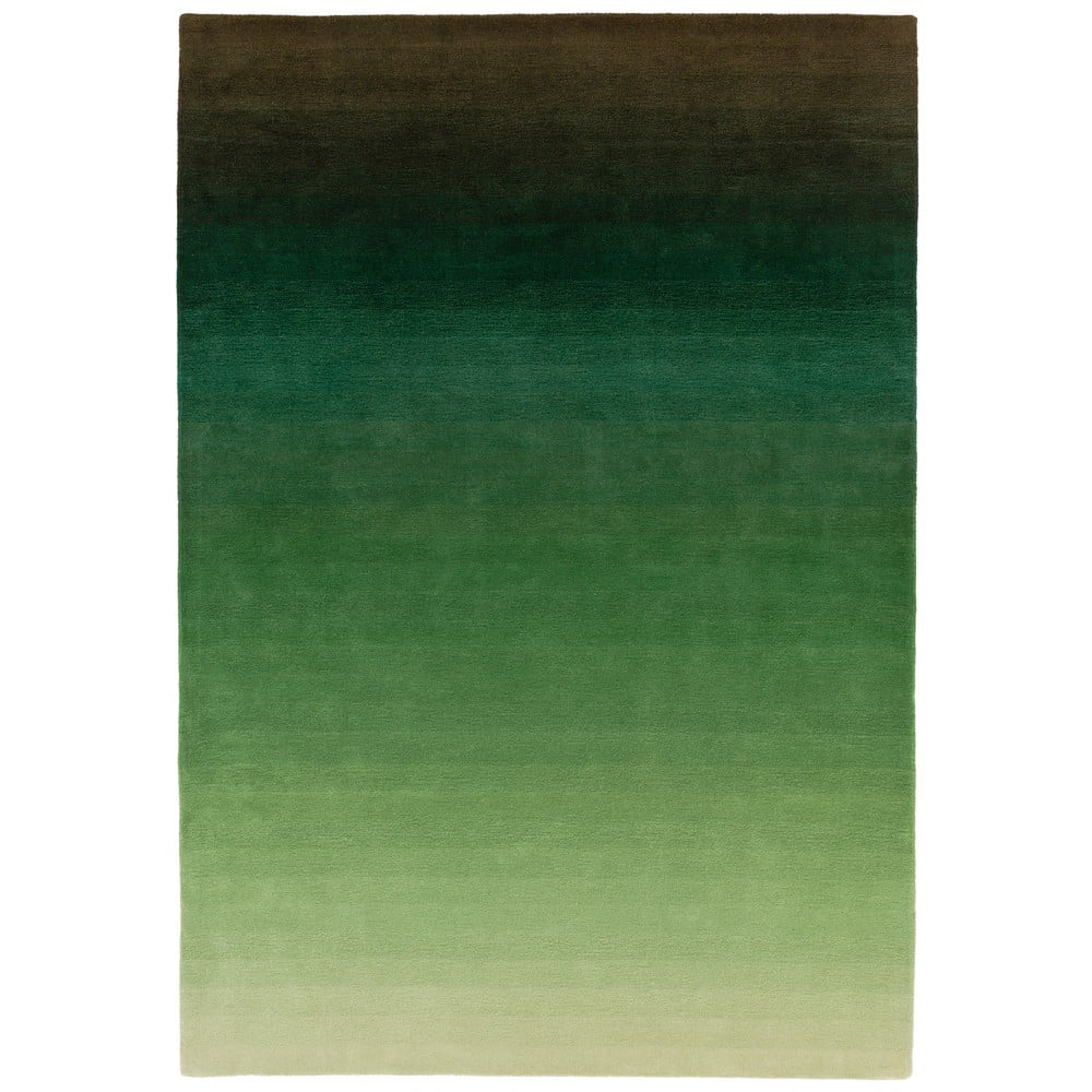 Žalios ir pilkos spalvos kilimas Asiatic Carpets Ombre, 120 x 170 cm