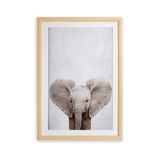 Paveikslas rėmuose Surdic Elephant, 30 x 40 cm